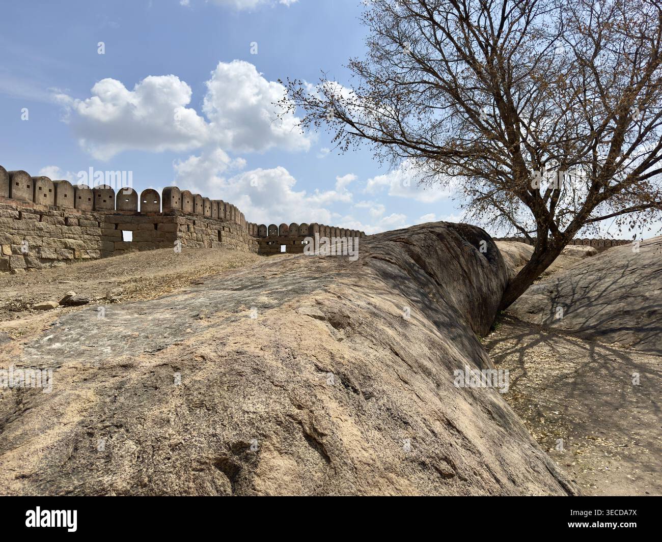 Steinmauer und Baum auf felsigem Gelände unter blauem Himmel mit Wolken, Thirumayam Fort, Thirumayam, Tamil Nadu, Indien Stockfoto