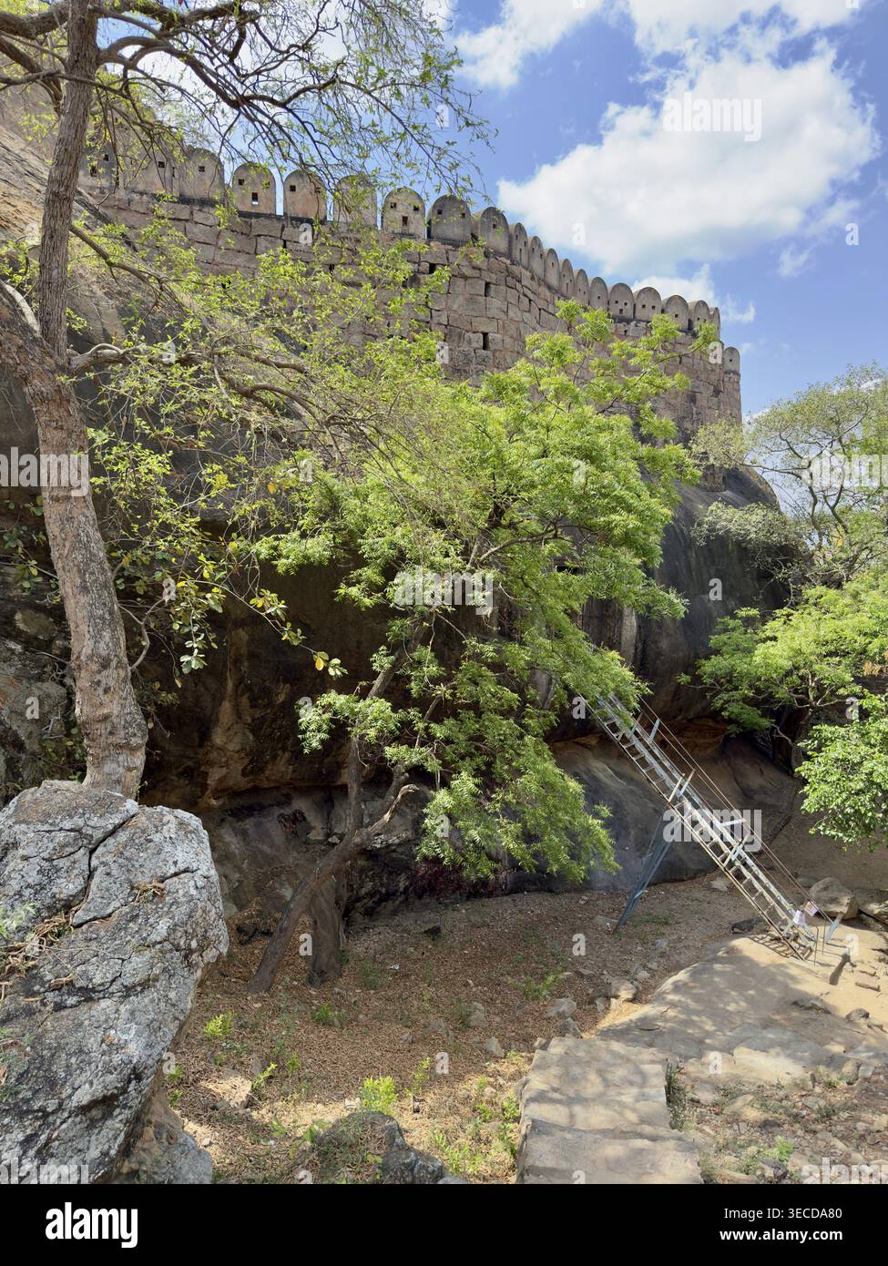 Festung mit Leiter auf felsigem Gelände umgeben von Bäumen, Thirumayam Fort, Thirumayam, Tamil Nadu, Indien Stockfoto