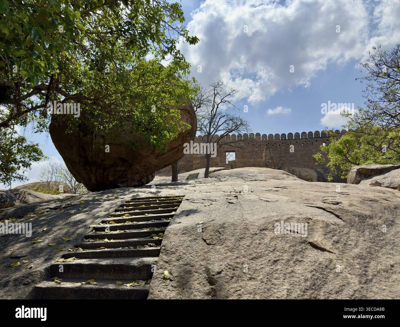 Steintreppen und Bäume vor einer historischen Mauer im Schatten eines sonnigen Tages, Thirumayam Fort, Thirumayam, Tamil Nadu, Indien Stockfoto