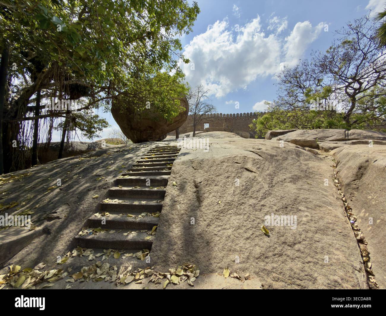 Steintreppen führen über felsiges Gelände unter Bäumen in einem sonnigen, bewölkten Himmel, Thirumayam Fort, Thirumayam, Tamil Nadu, Indien Stockfoto
