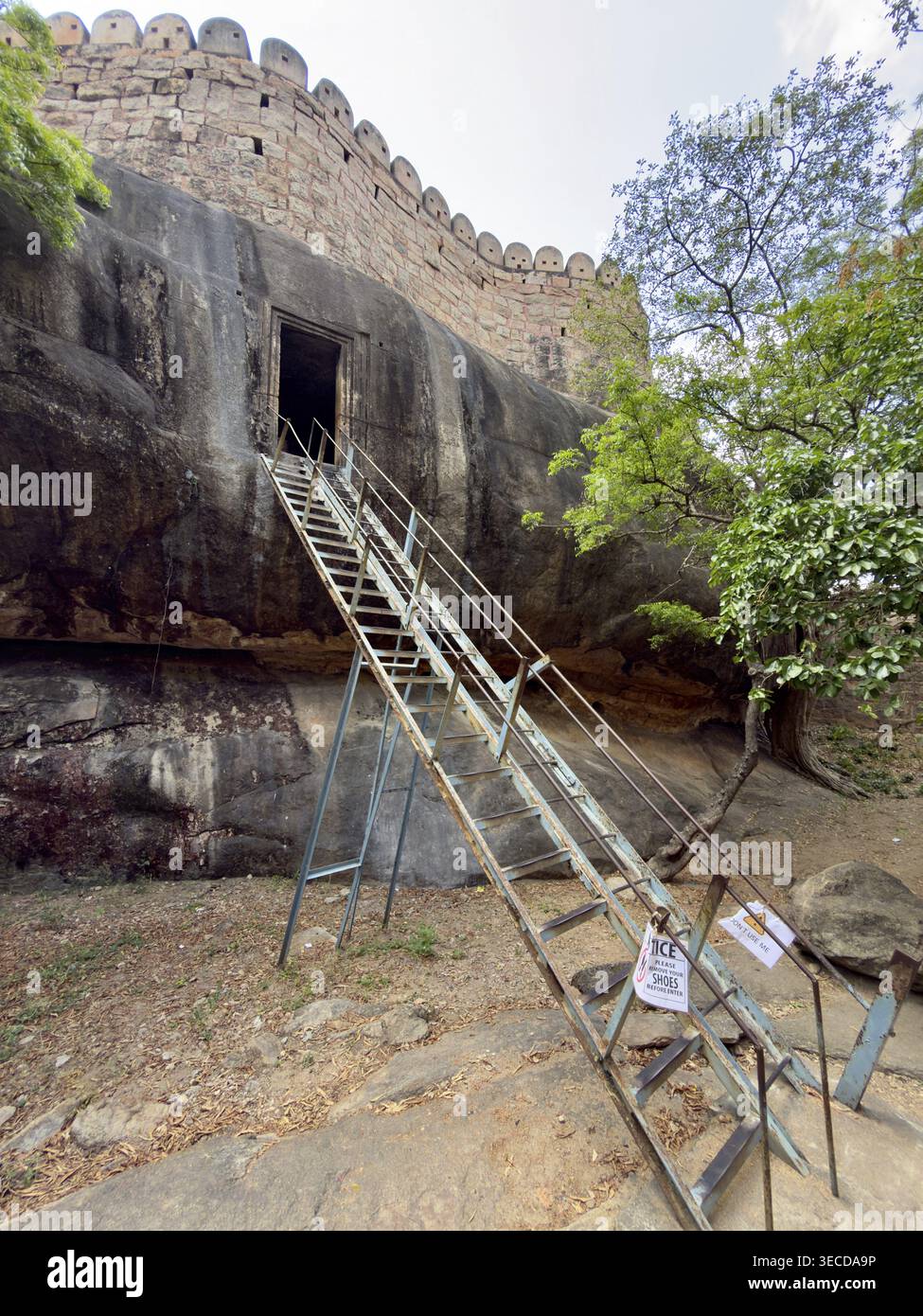 Eine steile Leiter führt zu einem alten Höhlentempel unter einer von Bäumen umgebenen Festungsmauer, Thirumayam Fort, Thirumayam, Tamil Nadu, Indien Stockfoto
