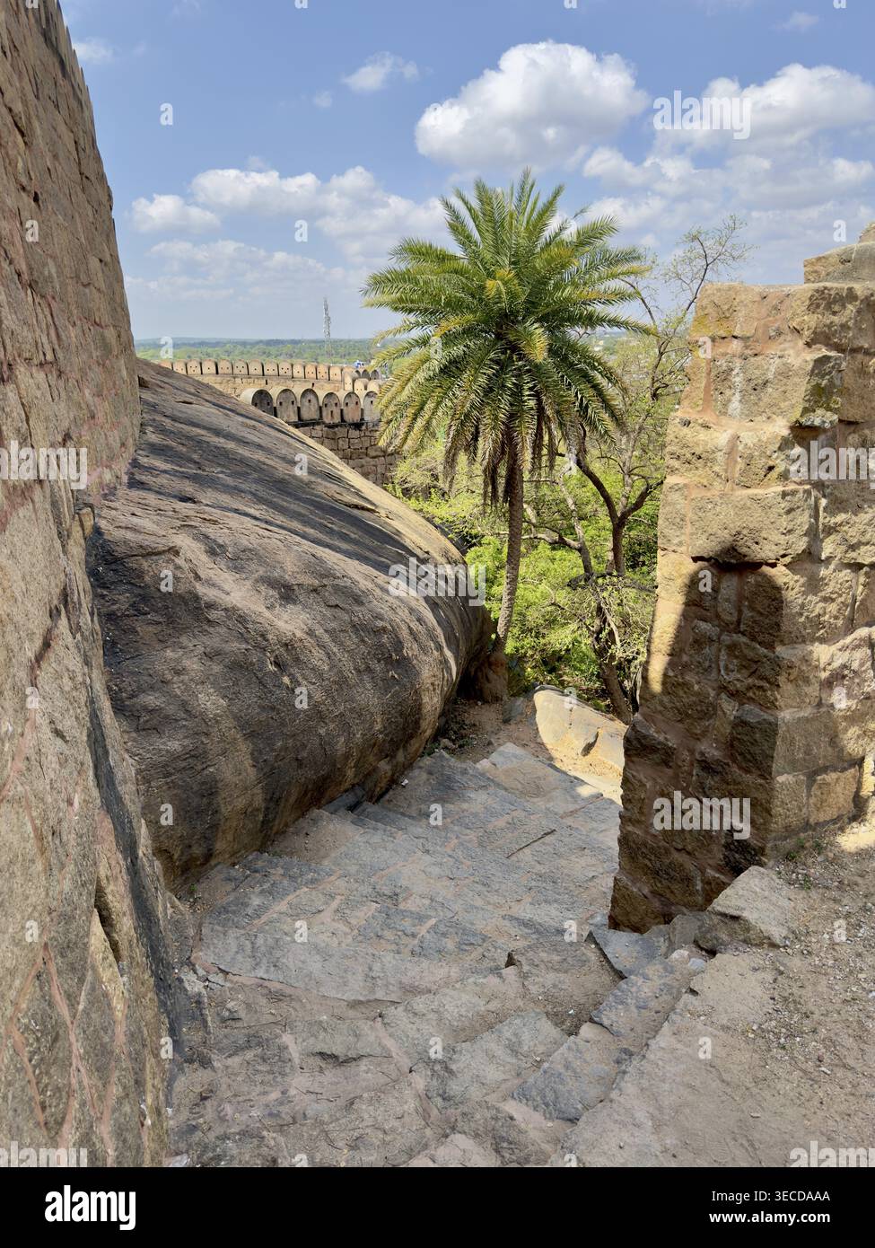 Steintreppen führen zu einer alten Mauer, die von Palmen und Felsen flankiert wird, Thirumayam Fort, Thirumayam, Tamil Nadu, Indien Stockfoto