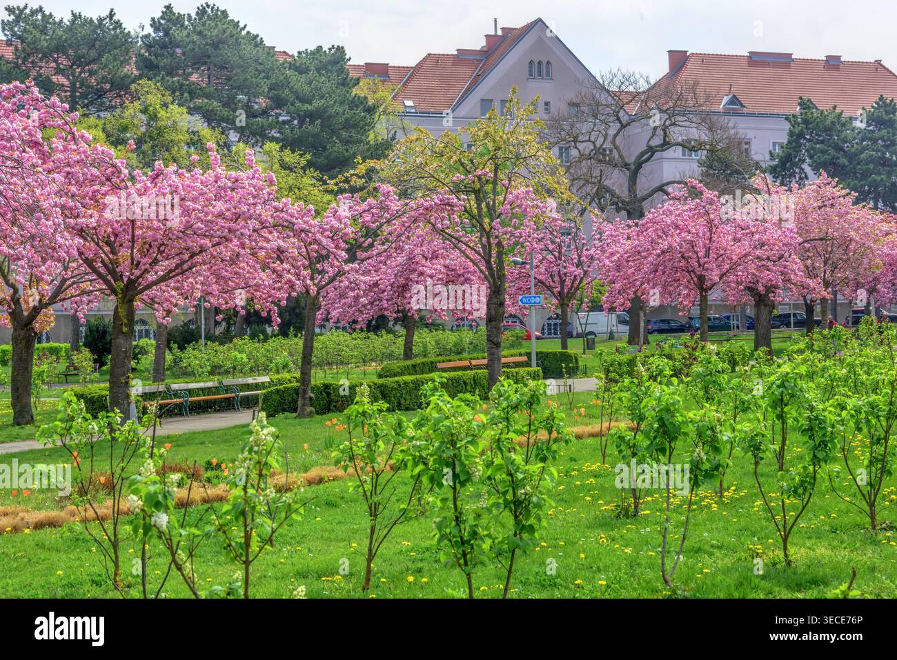 Wien, Herderpark // Wien, Herderpark Stockfoto