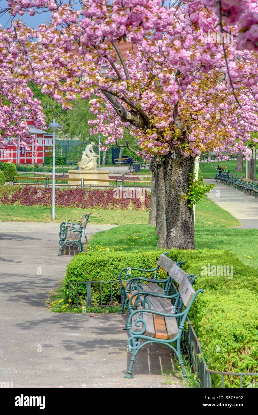 Wien, Herderpark // Wien, Herderpark *** Wien, Herderpark Wien, Herderpark Stockfoto