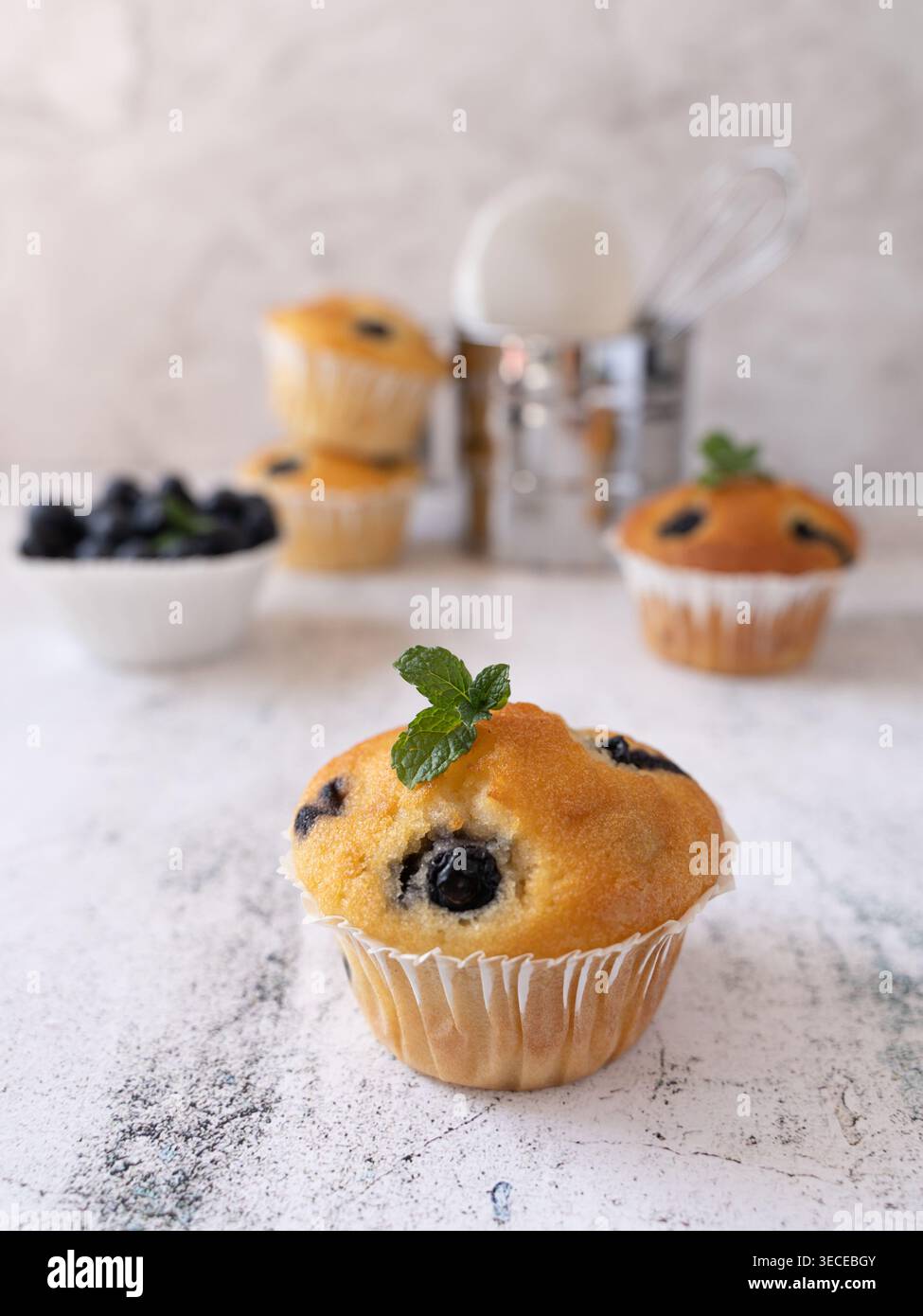Nahansicht des Heidelbeermuffins mit frischen Beeren und Minze auf weichem, neutralem Hintergrund Stockfoto
