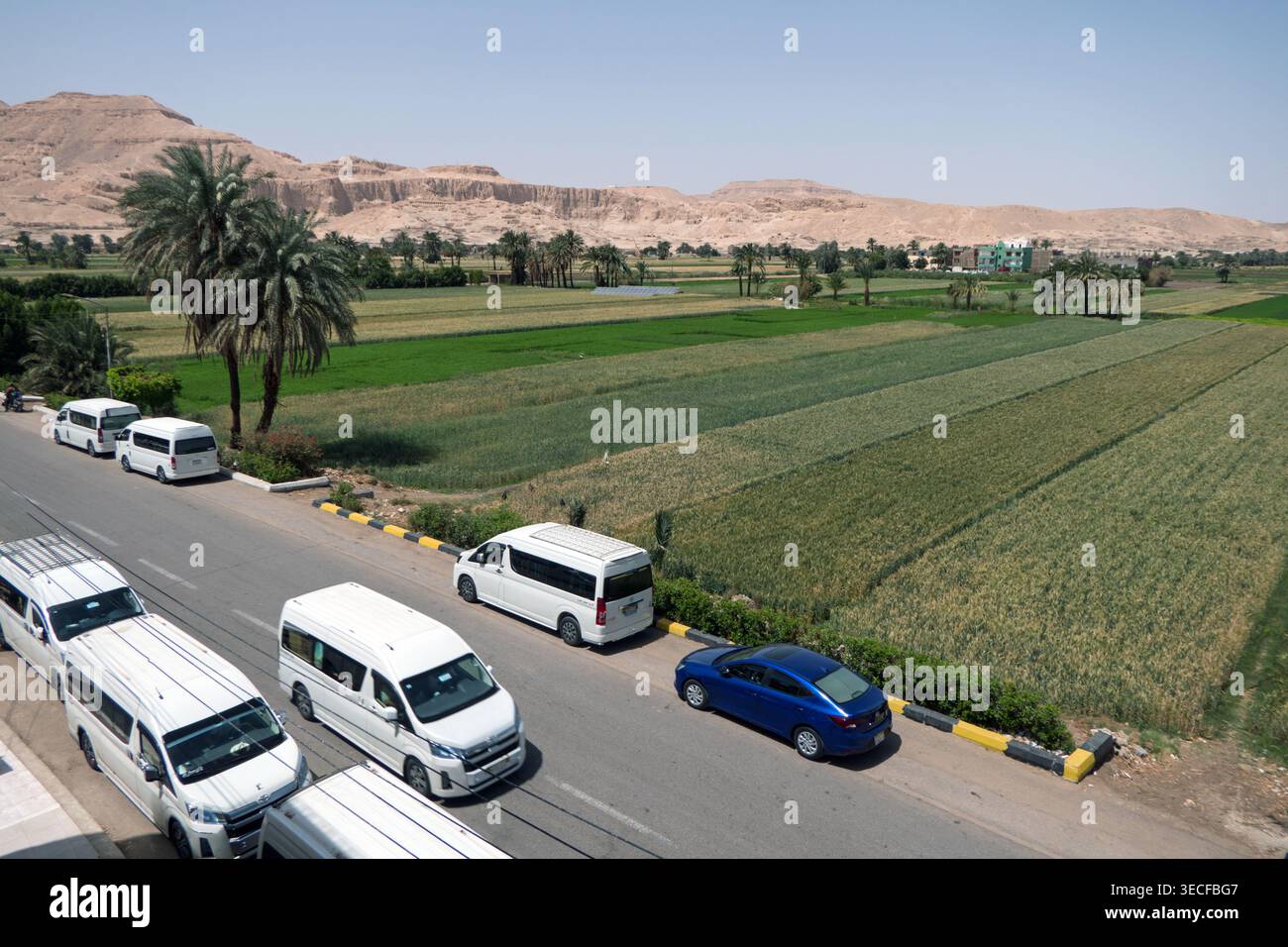 Männer, die als Bauern auf ländlichen Feldern in der Nähe des Nilufers in Luxor, Ägypten, arbeiten. Landwirte, die für Landwirtschaft, Landwirtschaft und ländliche Landschaft arbeiten Stockfoto
