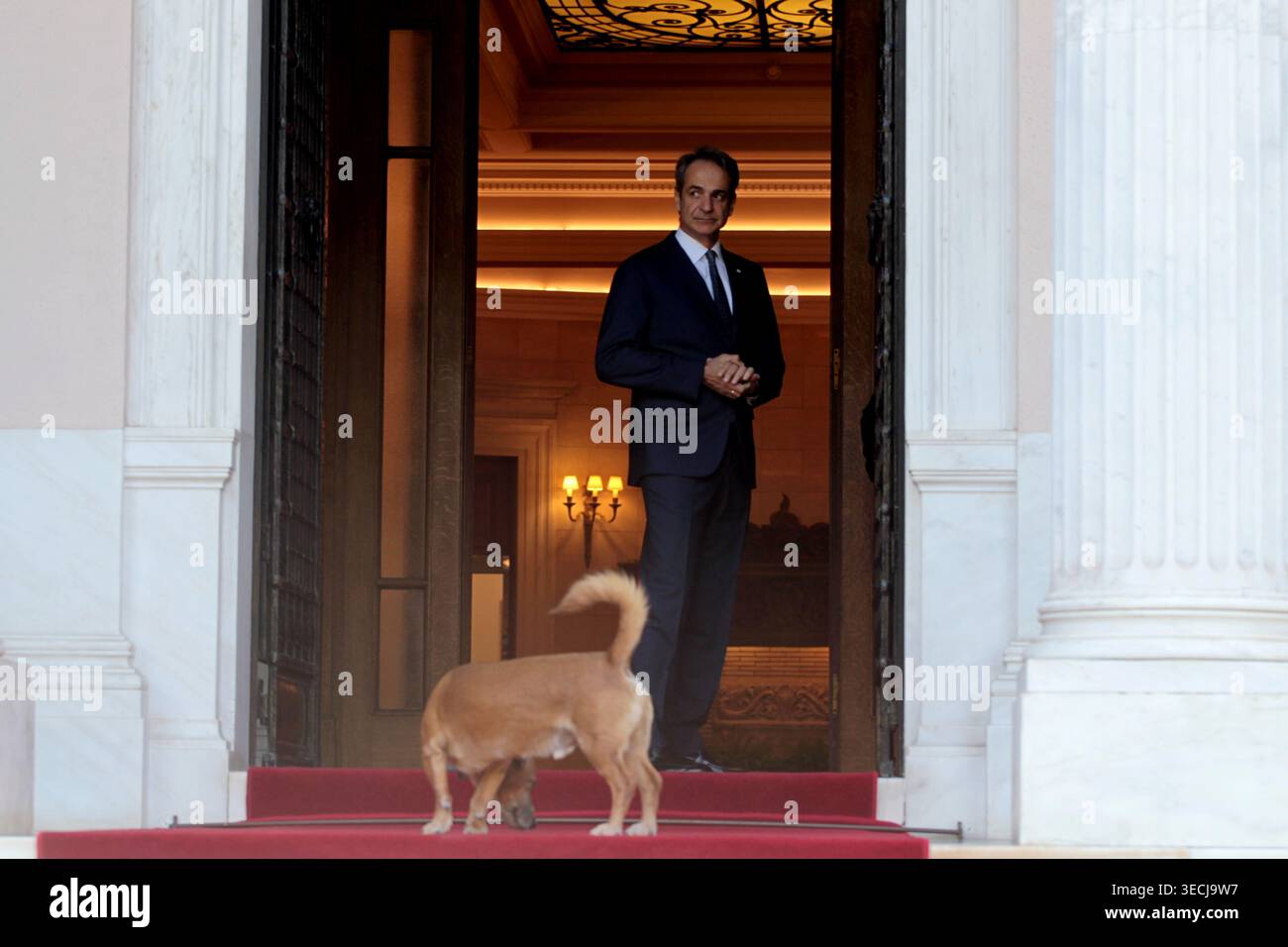 Griechenlands Premierminister Kyriakos Mitsotakis streichelt seinen Hund Peanut, bevor Monacos Fürst Albert II. Im Herrenhaus Maximos eintrifft Stockfoto