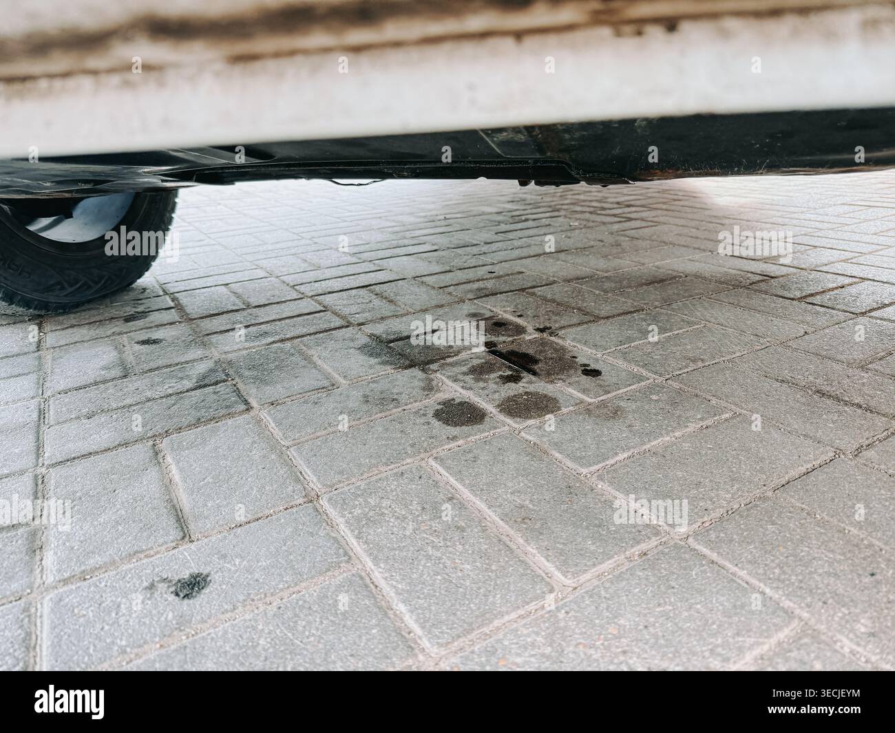 Nahaufnahme einer Fahrzeugunterseite, die Öl auf den gepflasterten Boden ausläuft und dunkle Flecken bildet. Konzept von Problemen bei der Fahrzeugwartung, mechanischem Versagen, Umgebung Stockfoto