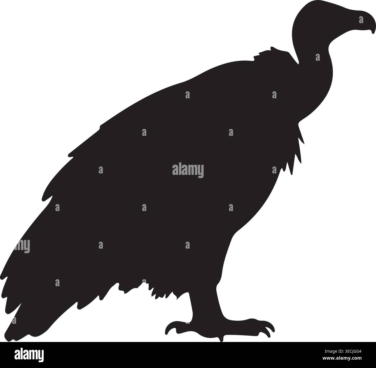 Geier Vogel Silhouette Vektor-Illustration Isoliert Auf Weißem Hintergrund Stock Vektor