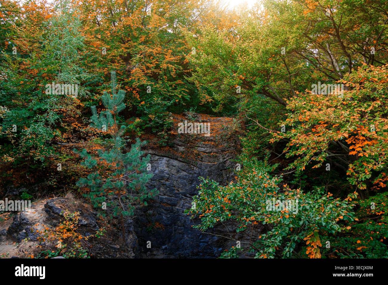 Sonnenlicht strömt durch ein Walddach und beleuchtet die reichen, abwechslungsreichen Farben von Herbstlaub und felsigem Gelände Stockfoto