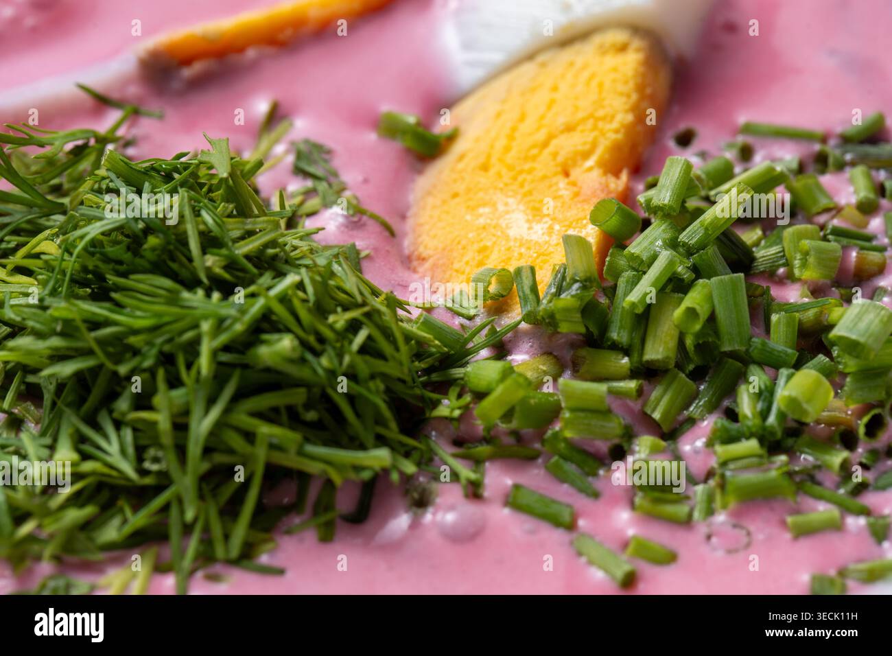 Dill und Schnittlauch auf kalter Rübensuppe mit Ei-close-Makro Stockfoto