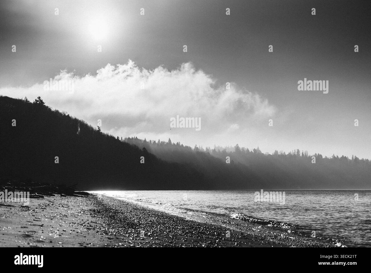 Großer Blick auf den Strand im Discovery Park in Seattle Stockfoto