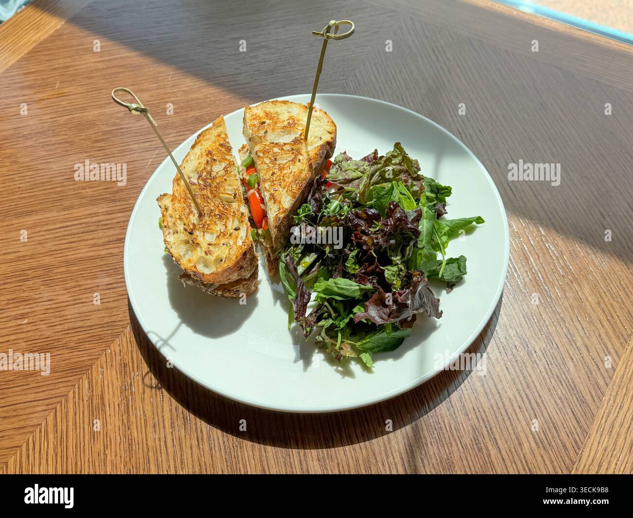 Präsentation Sonniger Mahlzeiten. Frisch Gegrilltes Sandwich Mit Gemüse. Rustikales Gericht Mit Käse Und Gemüse Stockfoto