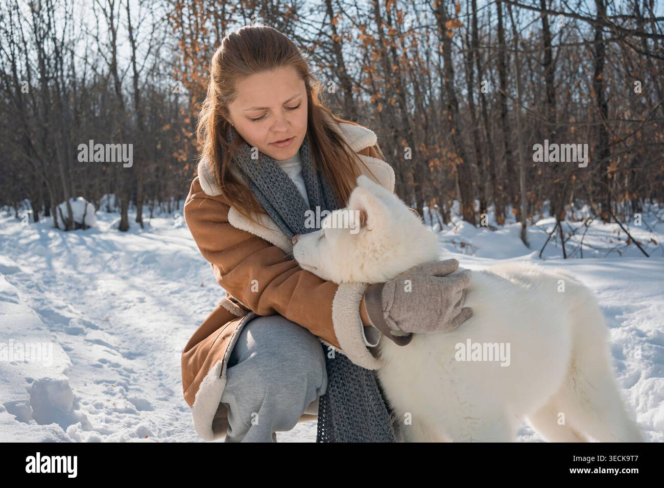 Eine Frau umarmt einen flauschigen weißen Akita-Welpen in einem verschneiten Wald. Die gemütliche Winterkulisse fängt die Verbindung zwischen Mensch und Haustier während eines Friedens ein Stockfoto