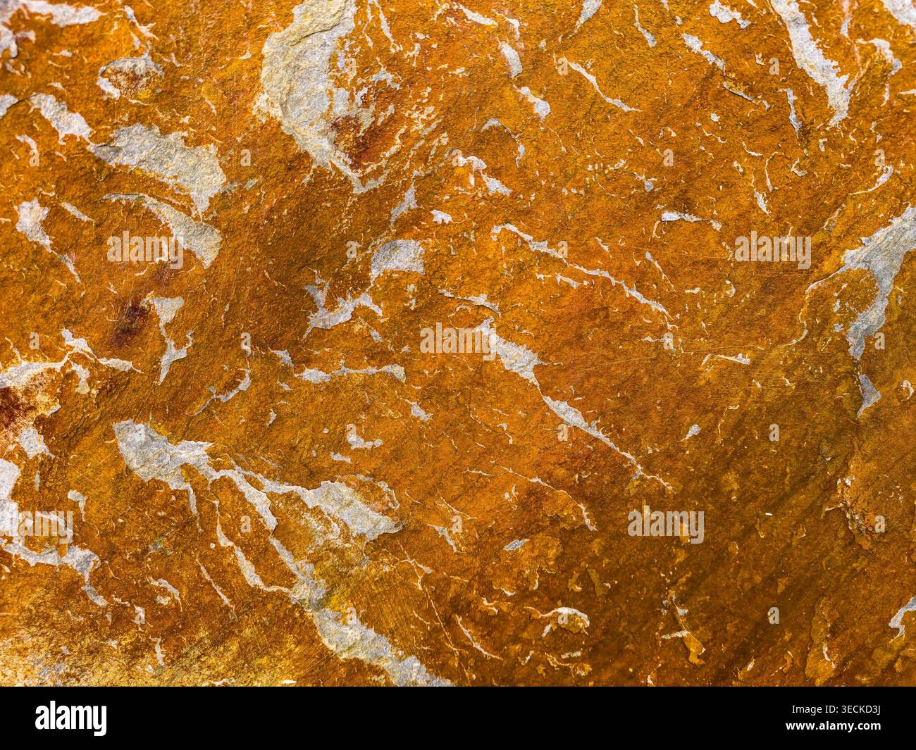Nahaufnahme einer orangen Steinoberfläche mit marmorierten weißen Adern, natürlicher abstrakter Textur und rauem Mineralmuster, ideal als Hintergrund für Design, Wallpap Stockfoto