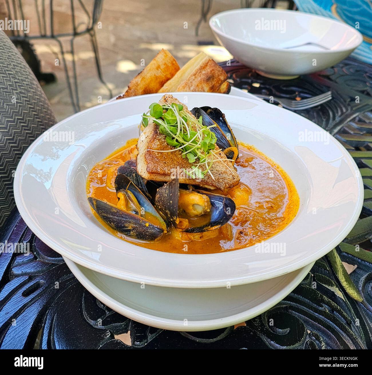 Die traditionelle Bouillabasse ist eine Fischsuppe mit Muscheln und Toast mit Rouille. Passerelle ist ein authentisches französisches Bistro im Falls Park. Stockfoto