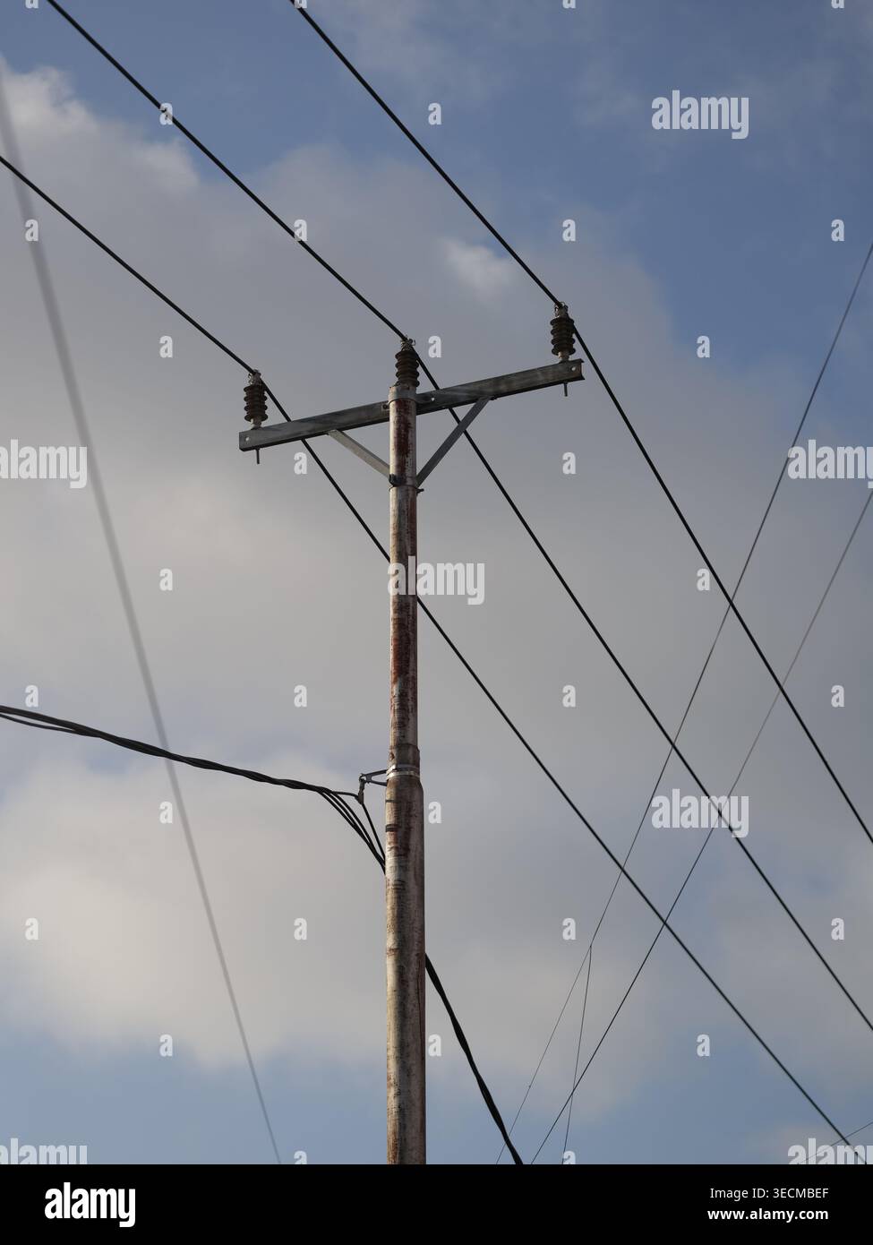 Stromverteilungsleitungen und Versorgungsmasten zur Stromversorgung. Stockfoto