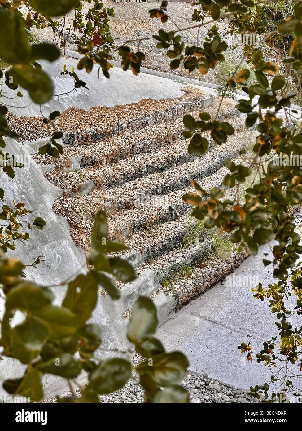 Herbstlaub bedeckte Stufen im Freien, von Laub eingerahmt - Smartphone-aufgenommenes Stockfoto