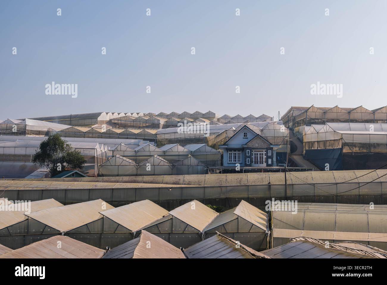 Blaues Haus Zwischen Weitläufigen Gewächshäusern Stockfoto