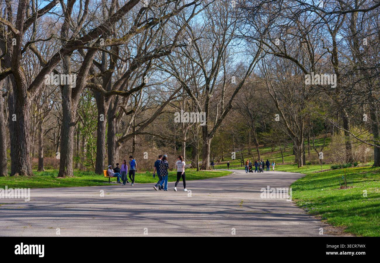 Besucher schlendern unter alten Bäumen entlang der Valley Road im Arnold-Arboretum der Harvard-Universität in Boston, Massachusetts, USA, im Frühling. Stockfoto