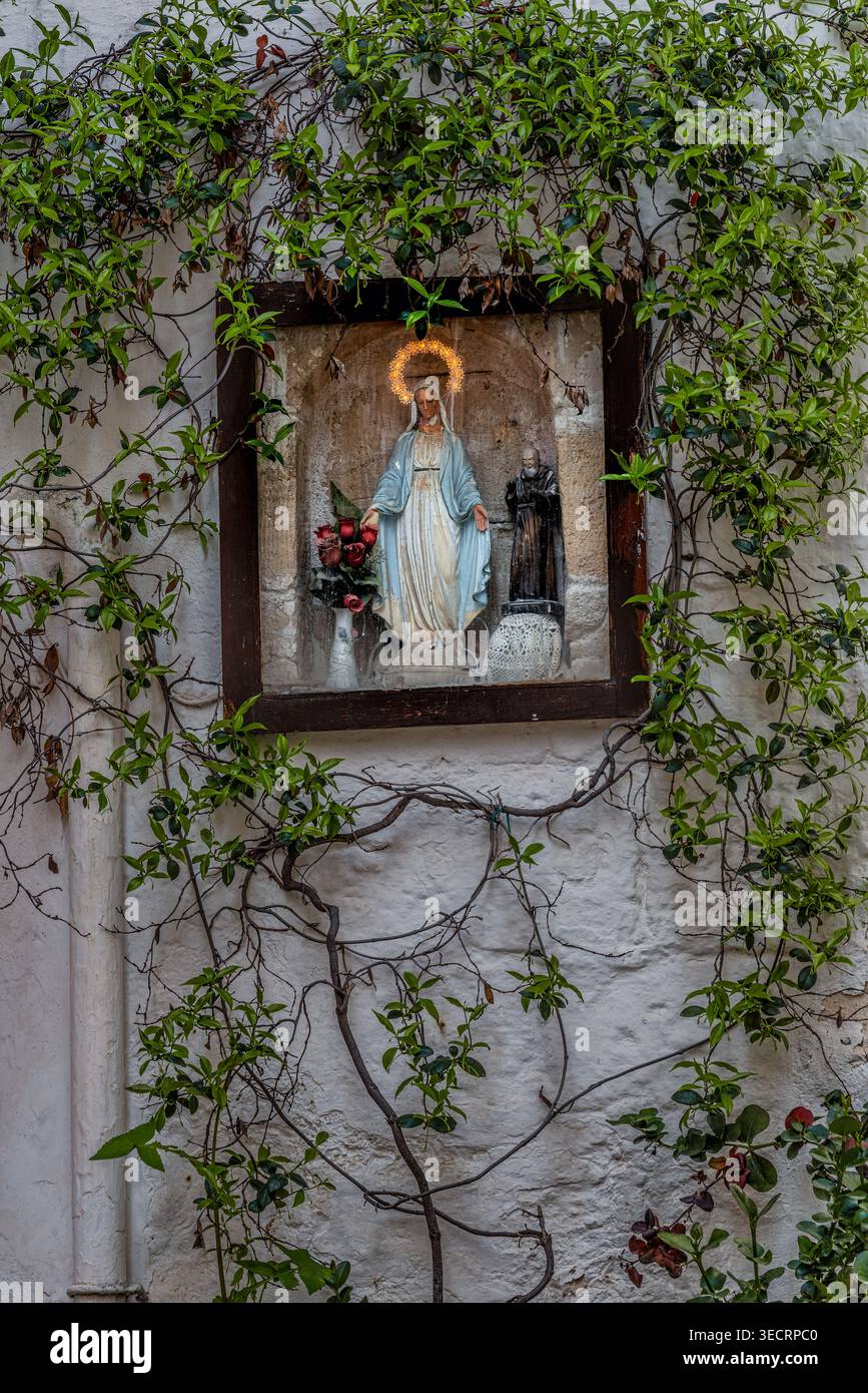 Statue der Jungfrau Maria mit einem leuchtenden Halos und Blumen in der Hand, in einer Höhle, umgeben von grünen Weinstöcken. Polignano A Mare, Apulien Stockfoto