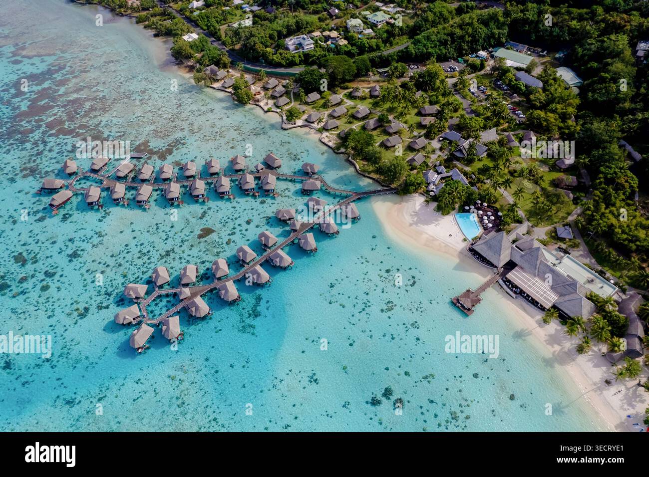 Blick aus der Vogelperspektive auf ein tropisches Lagunenresort mit Überwasser-Bungalows, türkisfarbenem Wasser, Korallenriff und weißem Sandstrand umgeben von üppigen Palmen in French P Stockfoto