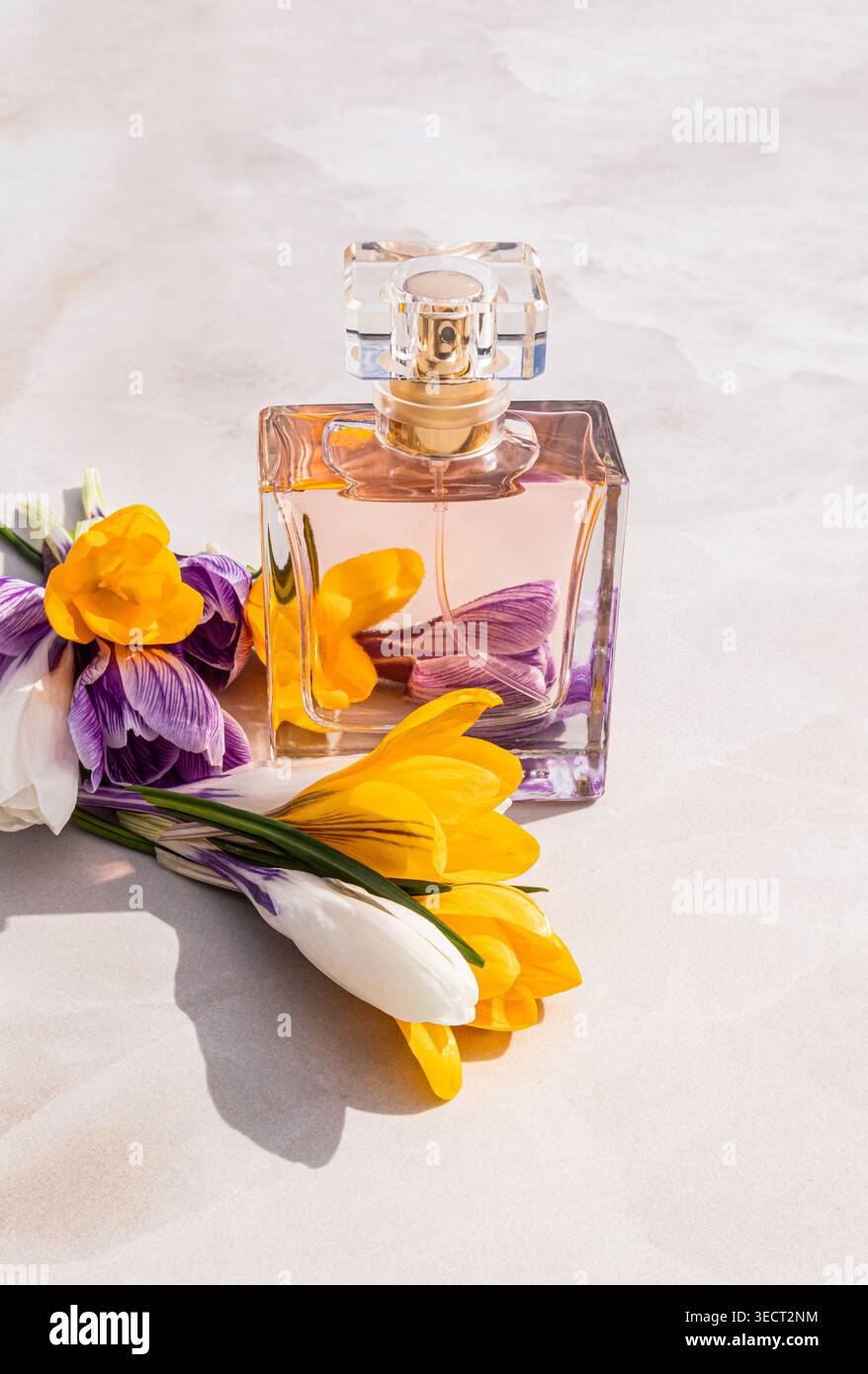 Elegante Damenparfümflasche mit weichem rosa Duft neben frischen Frühlingsblumen auf hellem Hintergrund, die ein florales Aroma, einen zarten Geruch und hervorrufen Stockfoto