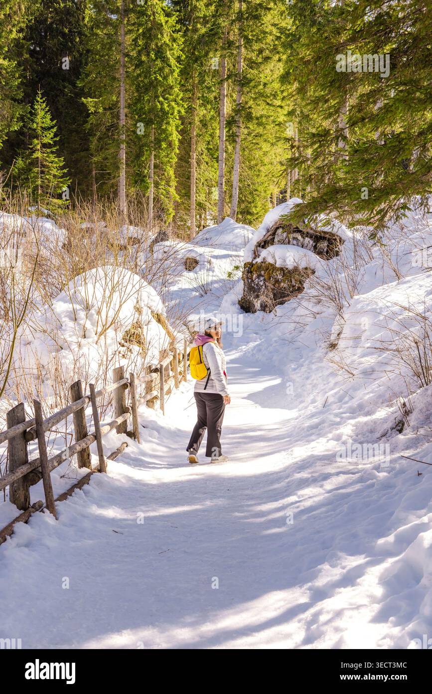 Ein Wanderer wandert im Winter auf einem schneebedeckten Waldweg in der Nähe des Karersee, umgeben von Kiefern und Sonnenlicht in Südtirol, Provinz Bozen, Italien. Stockfoto