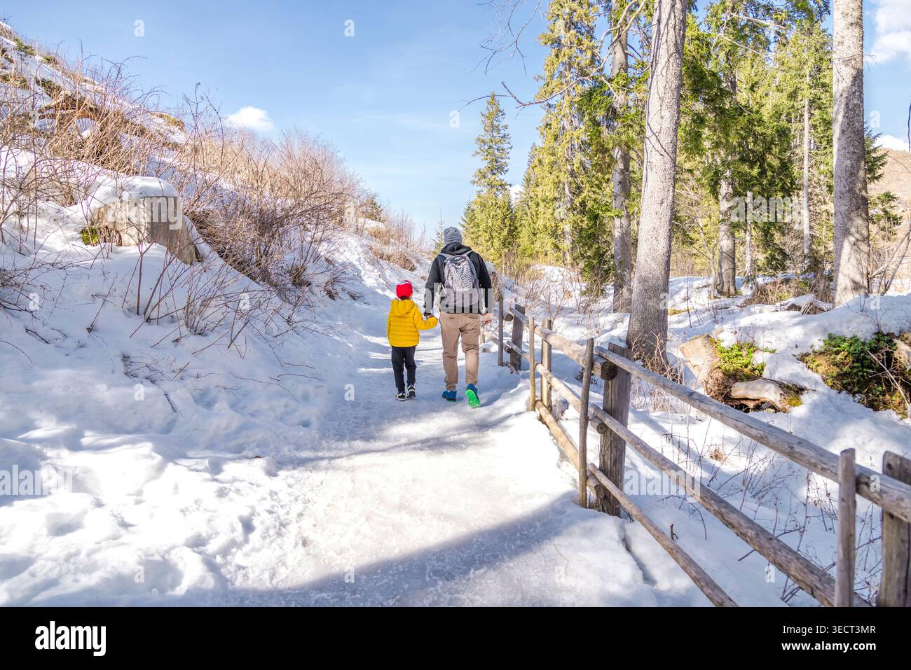 Vater und Kind wandern im Winter auf einem verschneiten Waldweg in der Nähe des Karersee, Südtirol, Italien, Provinz Bozen, mit Kiefern, Zaun und helle s Stockfoto