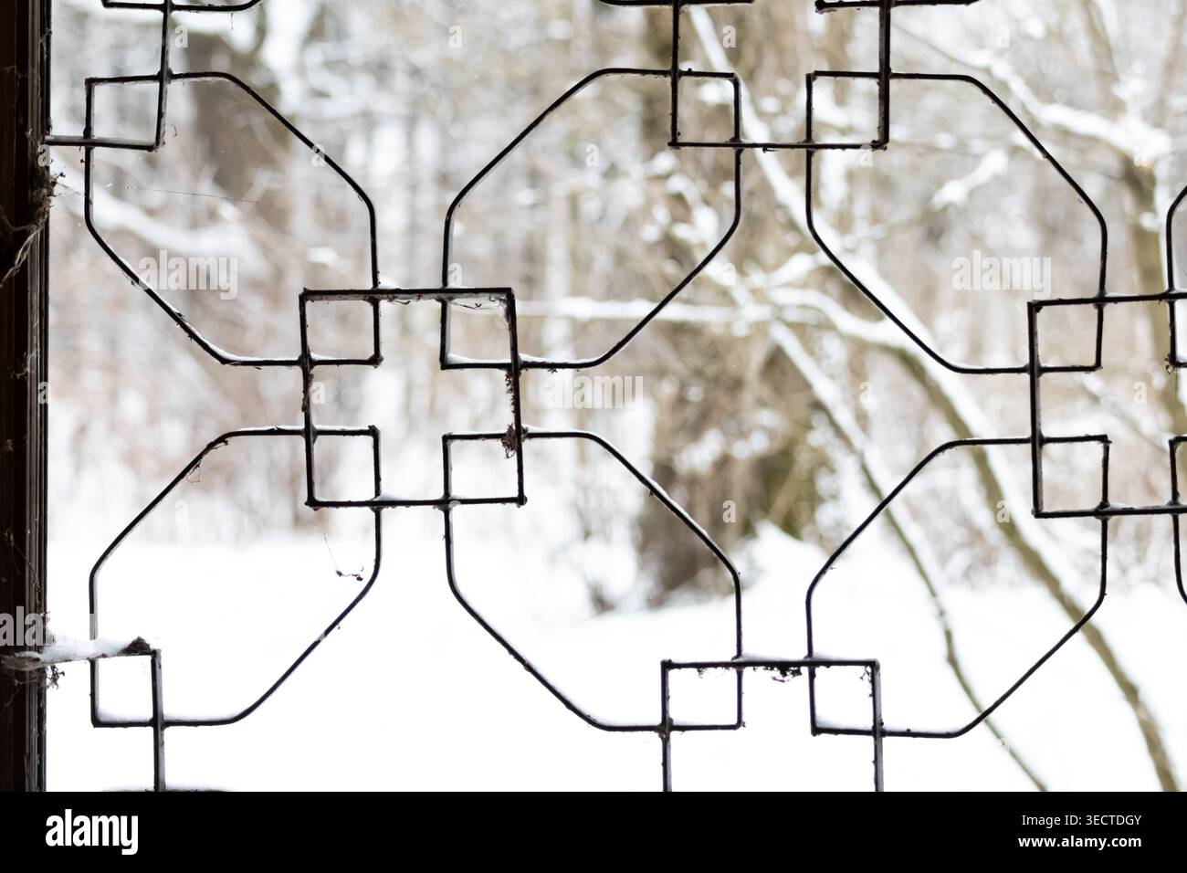 Geometrische Eisengitter auf einem Fenster bilden ineinander greifende Quadrate und Achtecke vor verschneiten Waldkulissen. Feiner Frost und Spinnweben sorgen für Textur Stockfoto