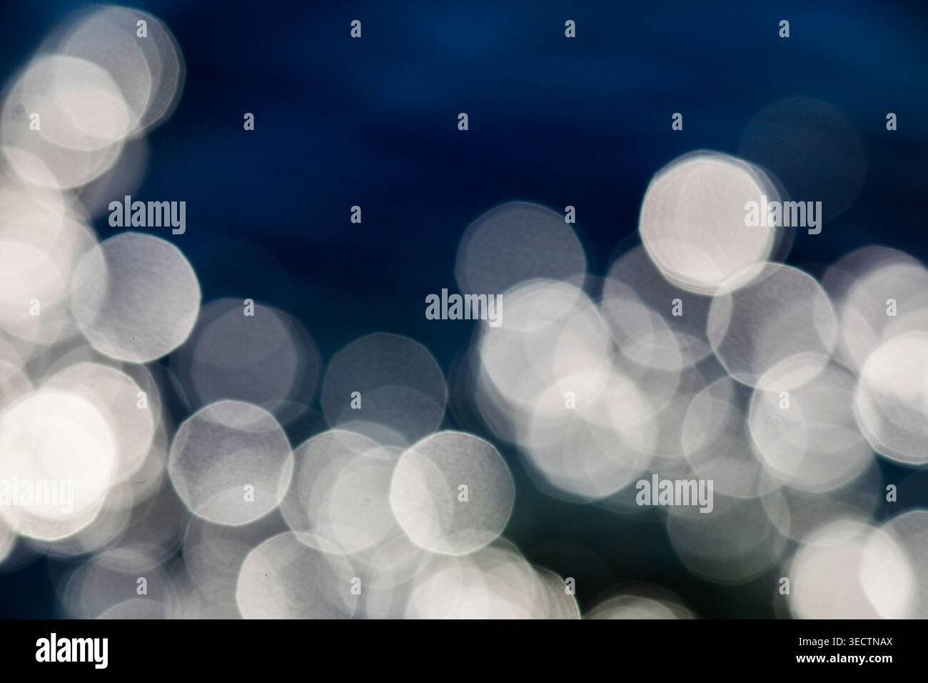 Weiche, diffuse Lichtkreise schimmern auf einem tiefblau-schwarzen Hintergrund und schaffen einen eleganten abstrakten Hintergrund mit traumhafter Bokeh-Textur für die Kopierfunktion. Stockfoto