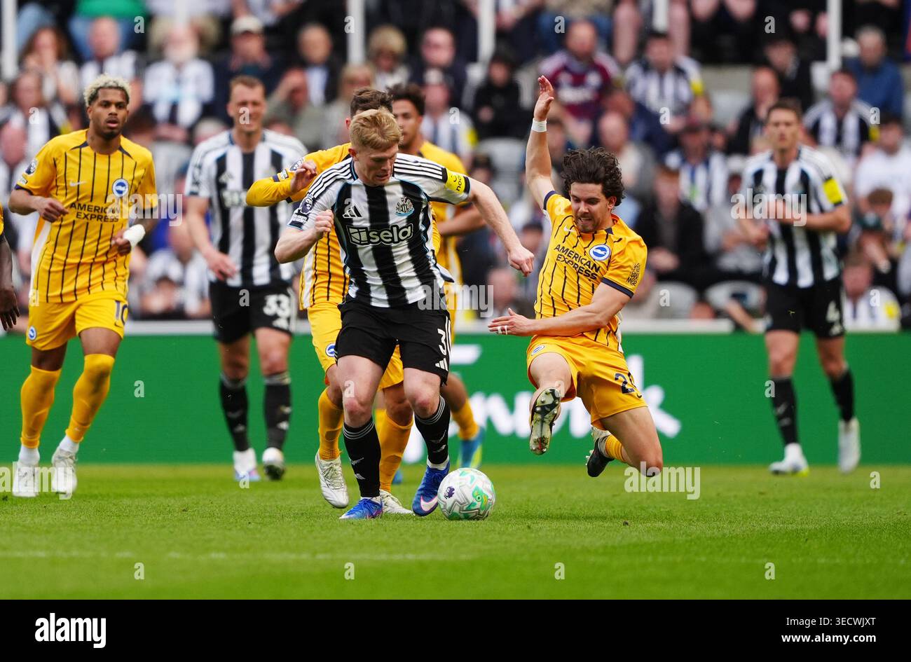 Lewis Hall von Newcastle United und Ferdi Kadioglu von Brighton und Hove Albion (rechts) kämpfen um den Ball während des Premier League-Spiels im St James' Park in Newcastle upon Tyne. Bilddatum: Samstag, 2. Mai 2026. Stockfoto