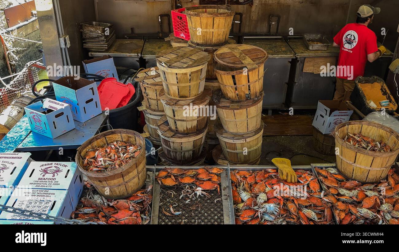 Washington D.C., USA, 25. Mai 2025. Holzkörbe gefüllt mit gedämpften Krabben stapeln sich hinter der Theke des Meeresfrüchte-Standes. Stockfoto