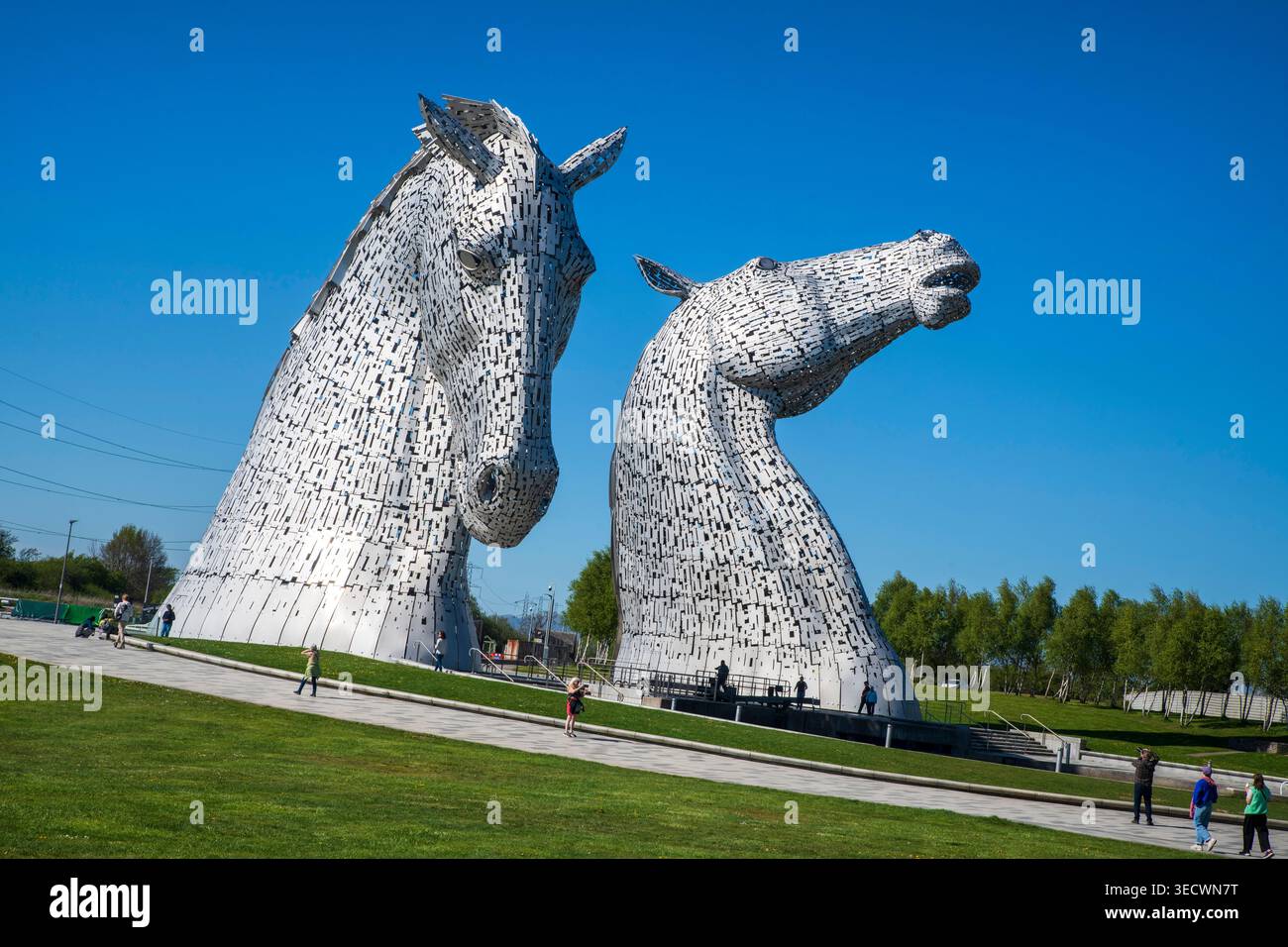 Die Kelpies in Falkirk, Schottland, unter sonnigem blauem Himmel. Die legendären Pferdekopfskulpturen sind ein bedeutendes Wahrzeichen Schottlands des Künstlers Andy Scott Stockfoto