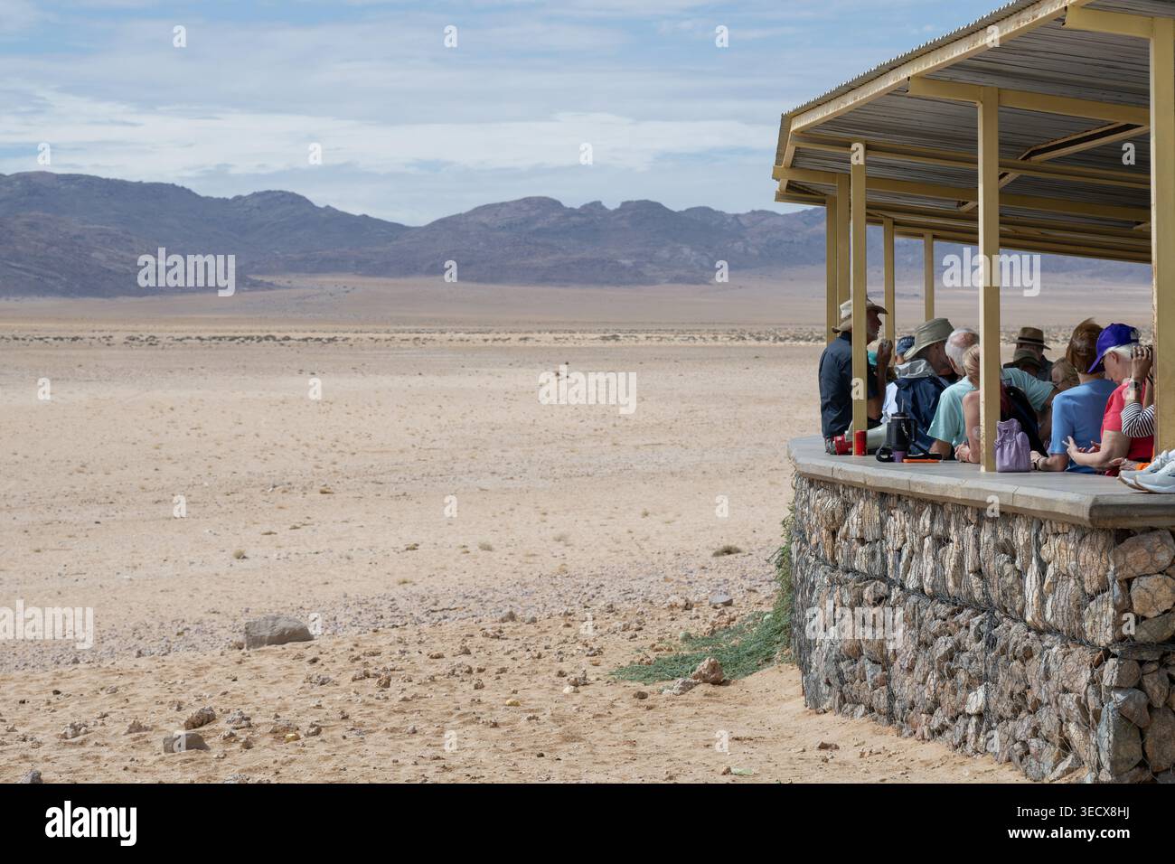 Afrika, Namibia. Wilde Pferde der Namib-Wüste. Besucherzentrum lookoiut. Stockfoto