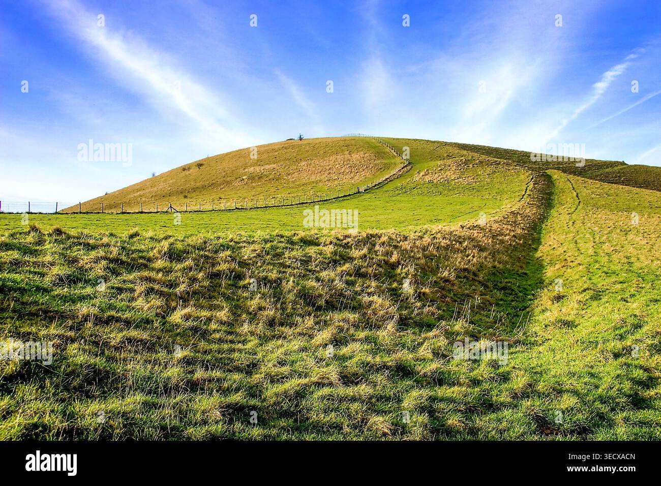 Sanfte grüne Hänge von Melbury Hill, Dorset, unter einem leuchtend blauen Sommerhimmel mit weiten Wolken, die die Schönheit der englischen Landschaft einfangen. Stockfoto
