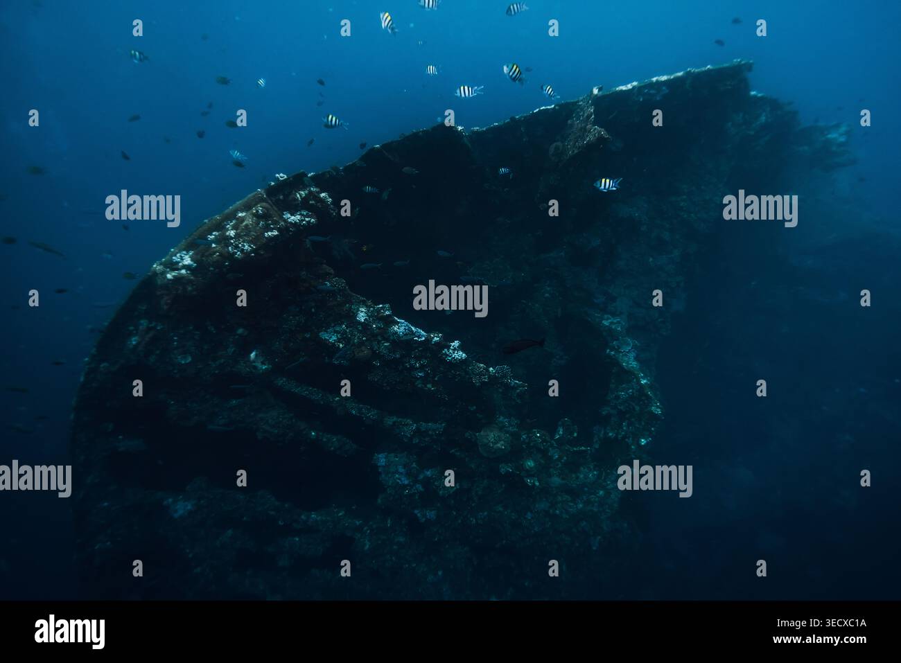 USAT Liberty Wrack unter Wasser in Tulamben, Bali. Auf dem Wrackschiff freitauchend Stockfoto