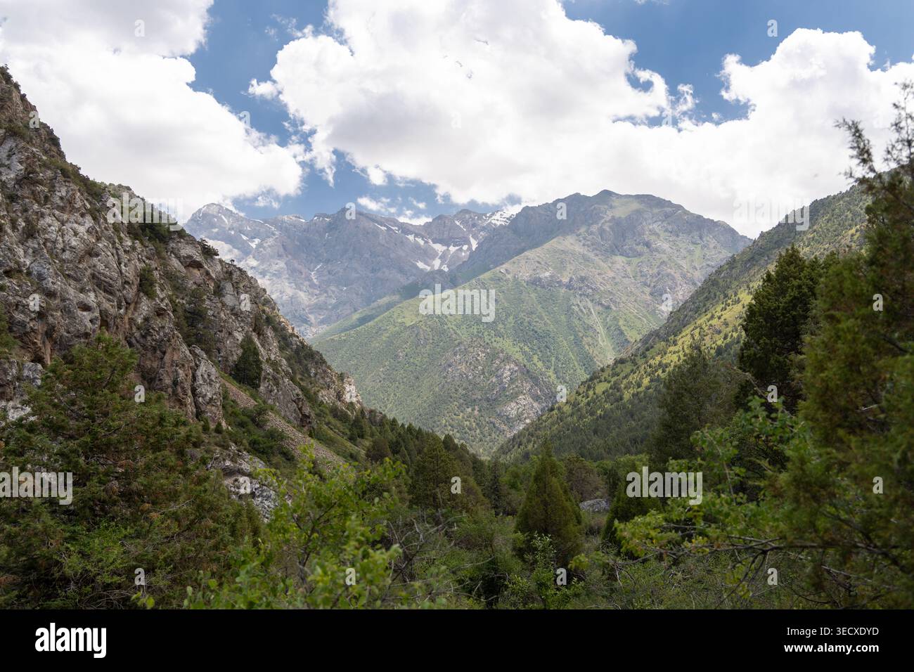 Überblick Über Die Berglandschaft. Alpenlandschaft Mit Schneebedeckten Gipfeln. Weitläufiger Blick Auf Zerklüftete Berge Und Eisgletscher Stockfoto