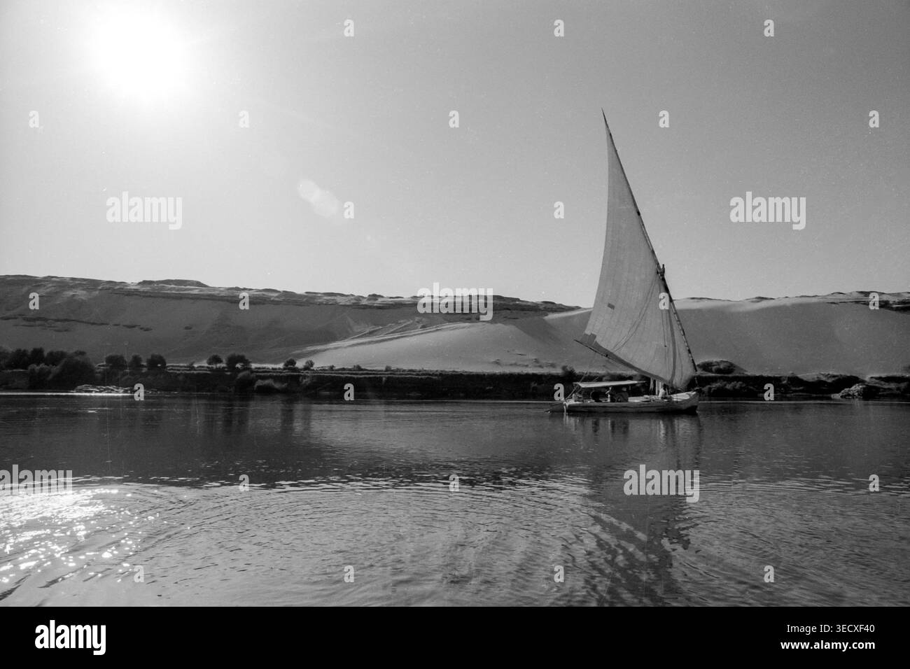 Felukenboote und Reflexionen. Assuan, Nil. Ägypten, Nordafrika Stockfoto