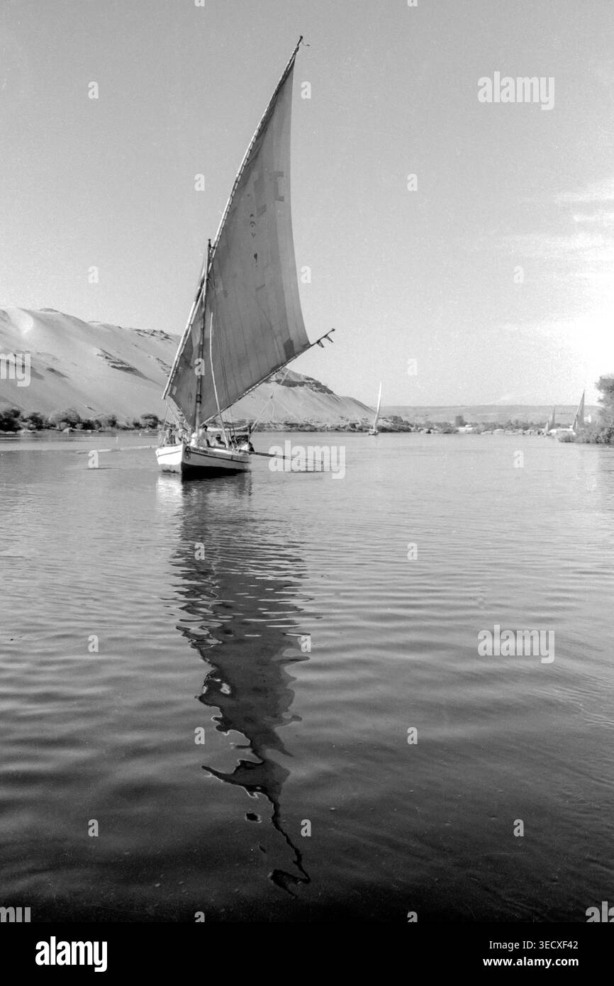 Felukenboote und Reflexionen. Assuan, Nil. Ägypten, Nordafrika Stockfoto