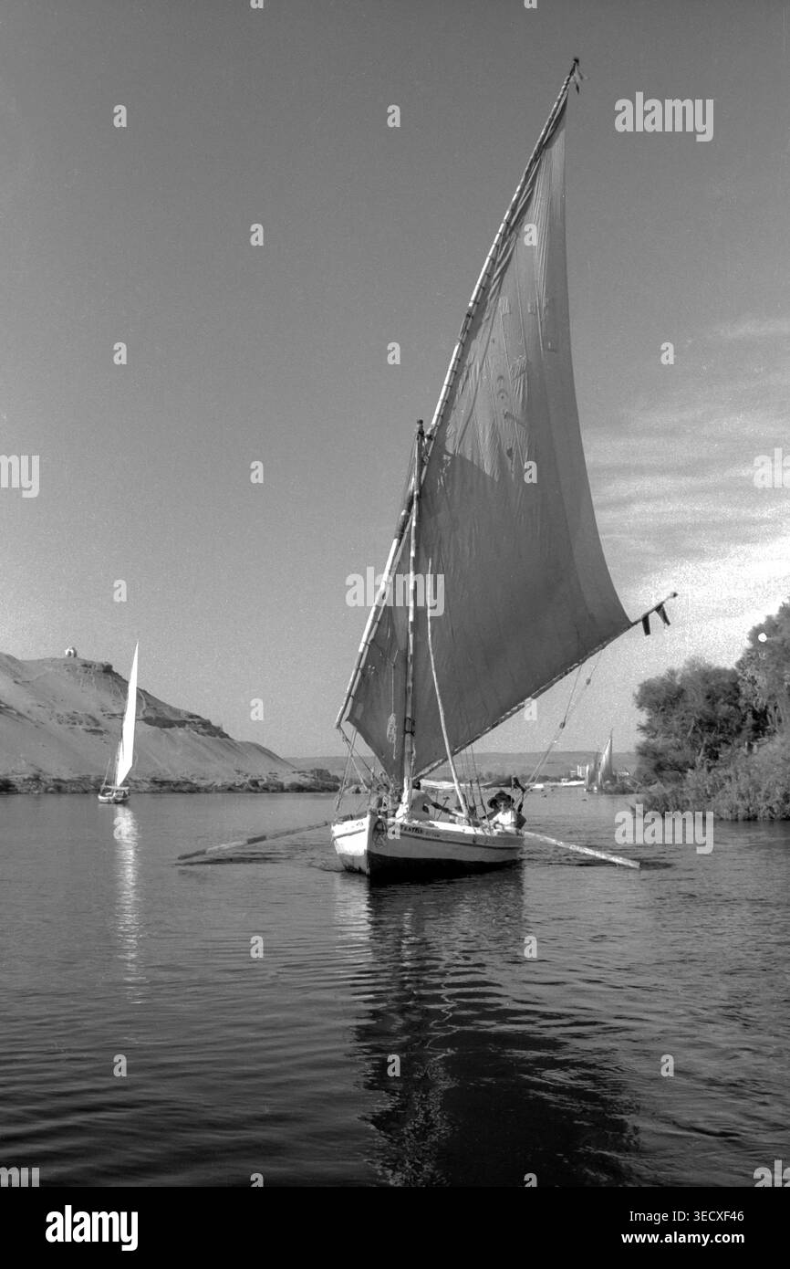 Felukenboote und Reflexionen. Assuan, Nil. Ägypten, Nordafrika Stockfoto