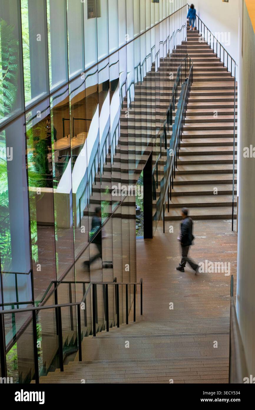 Atemberaubendes architektonisches Design des DeYoung Museums in San Francisco, CA Stockfoto