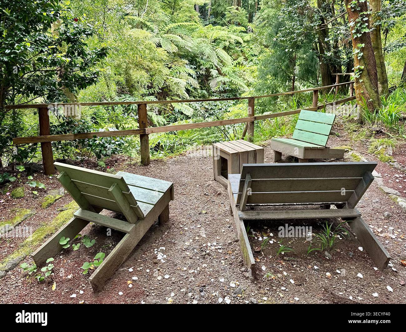 Rustikale hölzerne Loungesessel und ein kleiner Tisch in einer friedlichen Waldlichtung mit schützendem Holzgeländer. - Smartphone-aufgenommenes Stockfoto