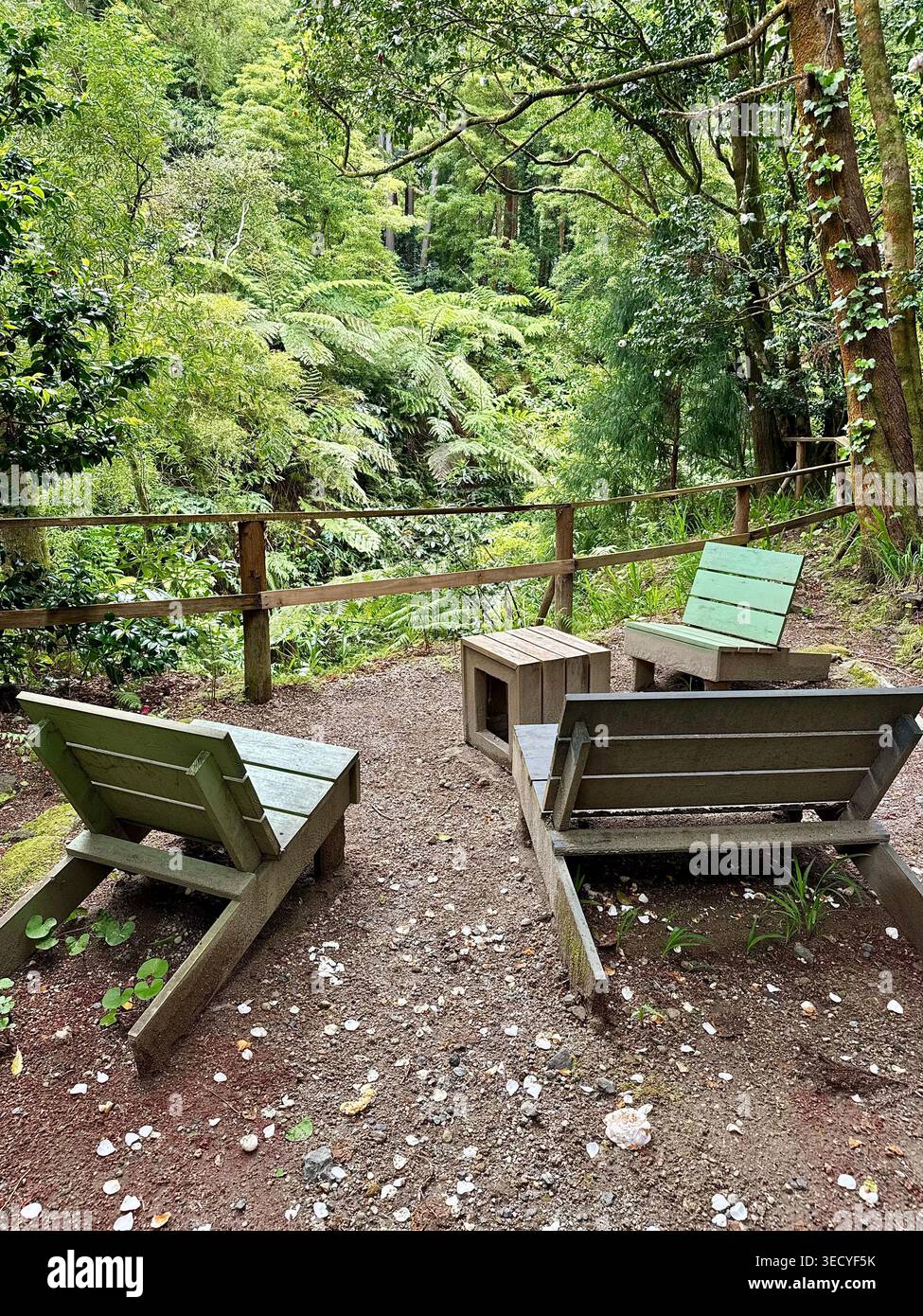 Rustikale hölzerne Loungesessel und ein kleiner Tisch in einer friedlichen Waldlichtung mit schützendem Holzgeländer. - Smartphone-aufgenommenes Stockfoto