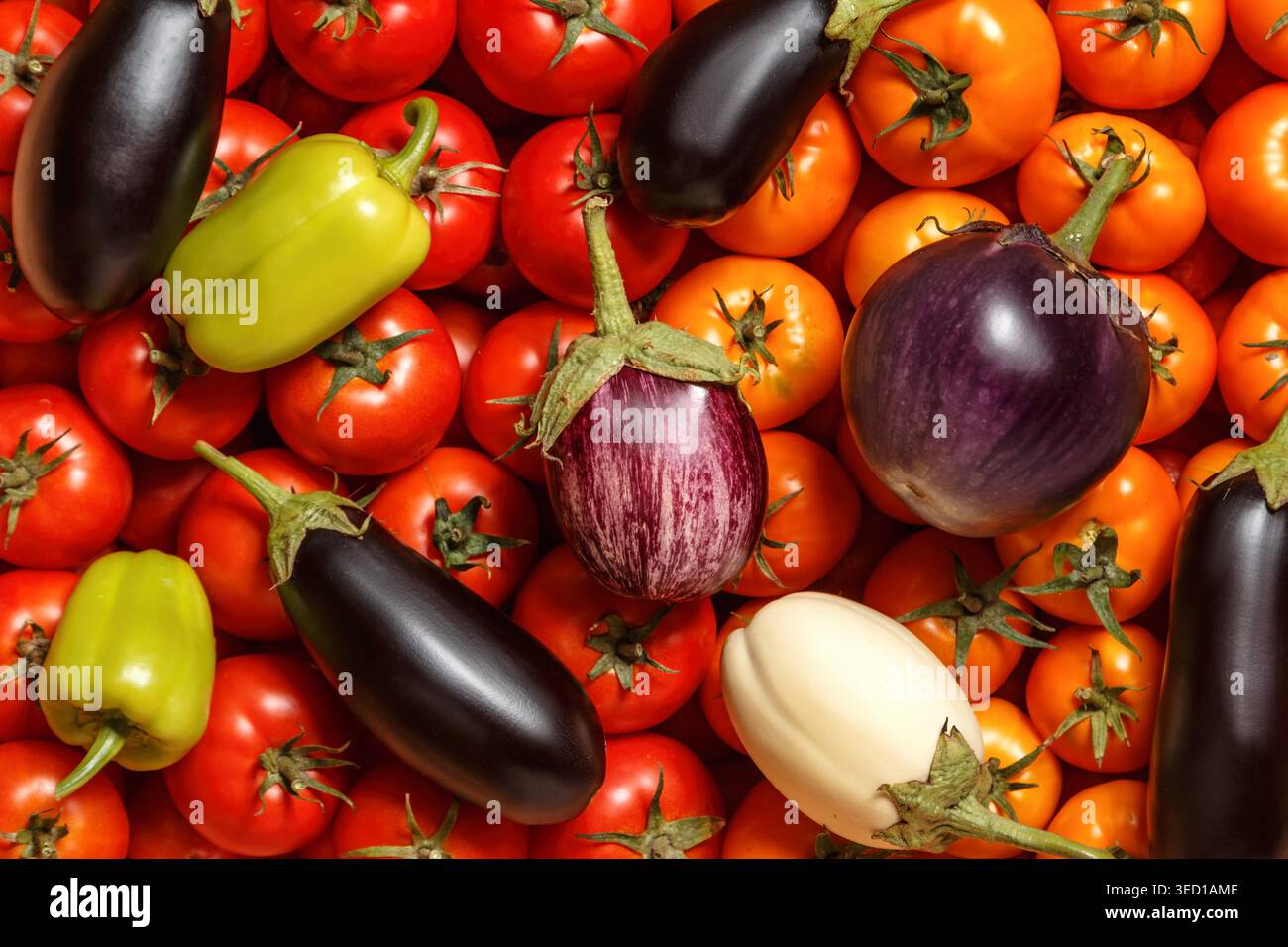 Draufsicht auf frische Auberginen verschiedener Sorten und grüne Paprika auf roten und orangen Tomaten. Hintergrund der Speisen. Stockfoto