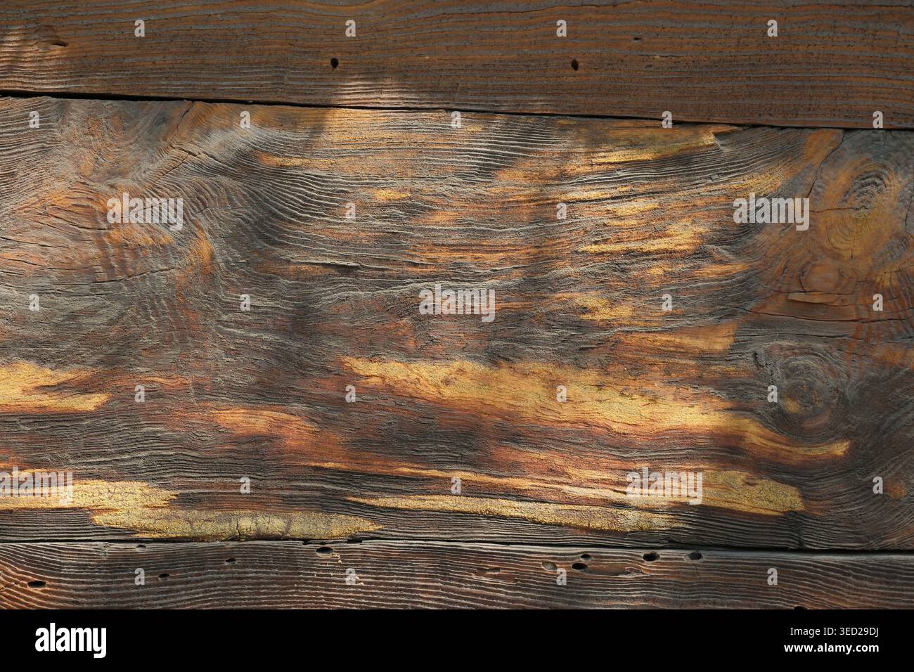 Satte Muster und warme Farbtöne schaffen eine atemberaubende Holzoberfläche voller Charakter. Stockfoto