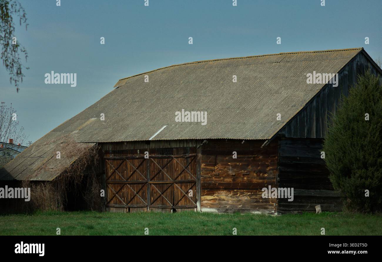 Alte traditionelle Holzscheune mit einem großen Wellblechdach und rustikalen Doppeltüren, die auf grünem Gras in einer ländlichen Umgebung steht Stockfoto