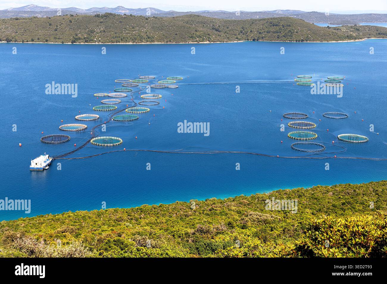 Scenische Hochwinkelaufnahme von einem felsigen Hügel aus mit Blick auf massive industrielle Fischfarm-Käfige, die im blauen Meer entlang der Küste von Dugi Otok schwimmen. Stockfoto