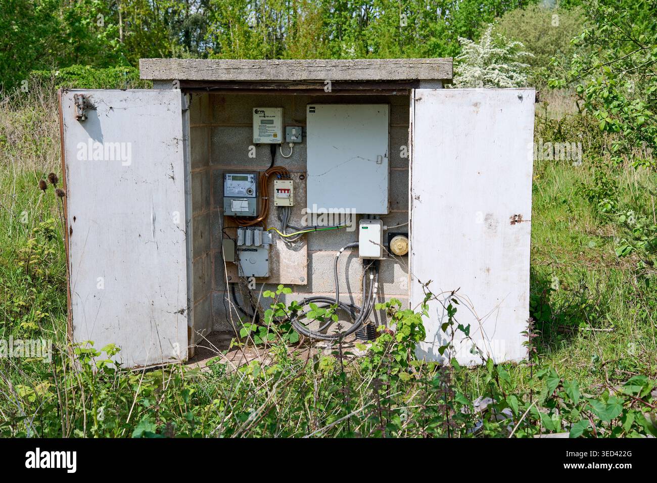 Schaltkasten für Stromversorger im Freien mit offenen Türen, freiliegende Kabel, Messgeräte und Schalttafeln, umgeben von bewachsenem Gras Stockfoto