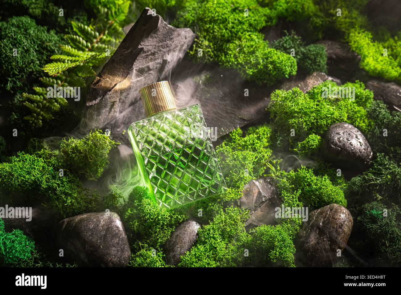 Raffiniertes grünes Parfüm in der Umgebung von Kiefern und Moos. Parfüm auf Moos im Wald. Stockfoto